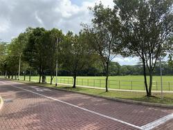 Blk 509B Wellington Circle (Sembawang), HDB 4 Rooms #204263331